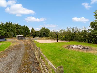 Picture 51